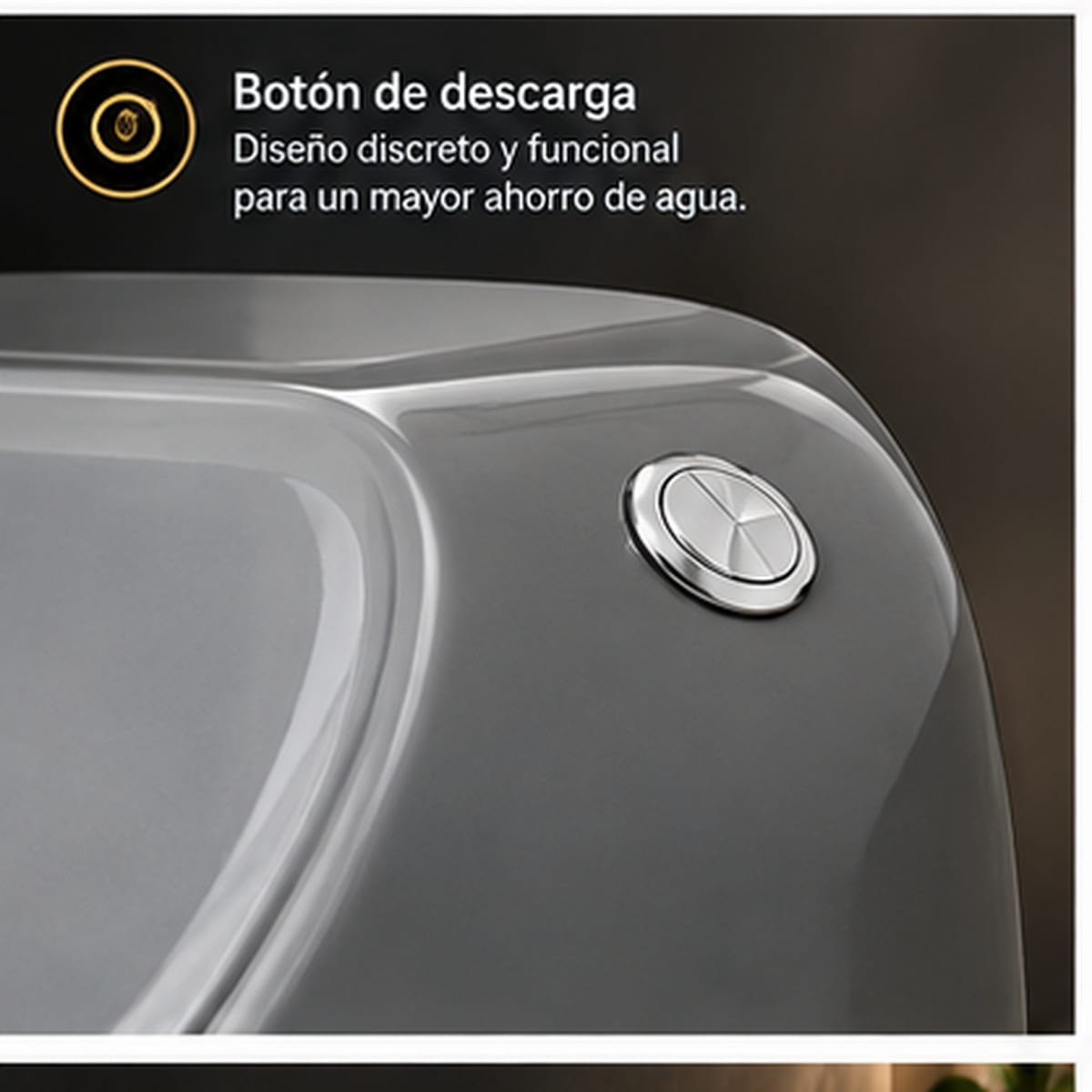 Inodoro Gris Brillante - botón de descarga